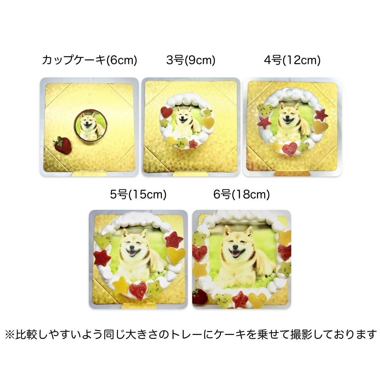 写真の送り方