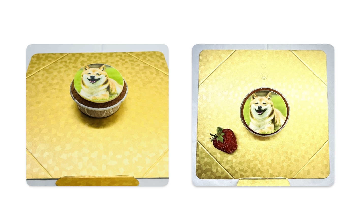 写真の送り方