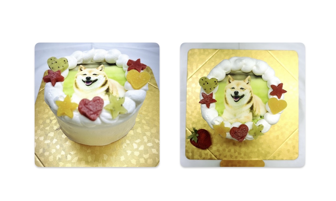 写真の送り方