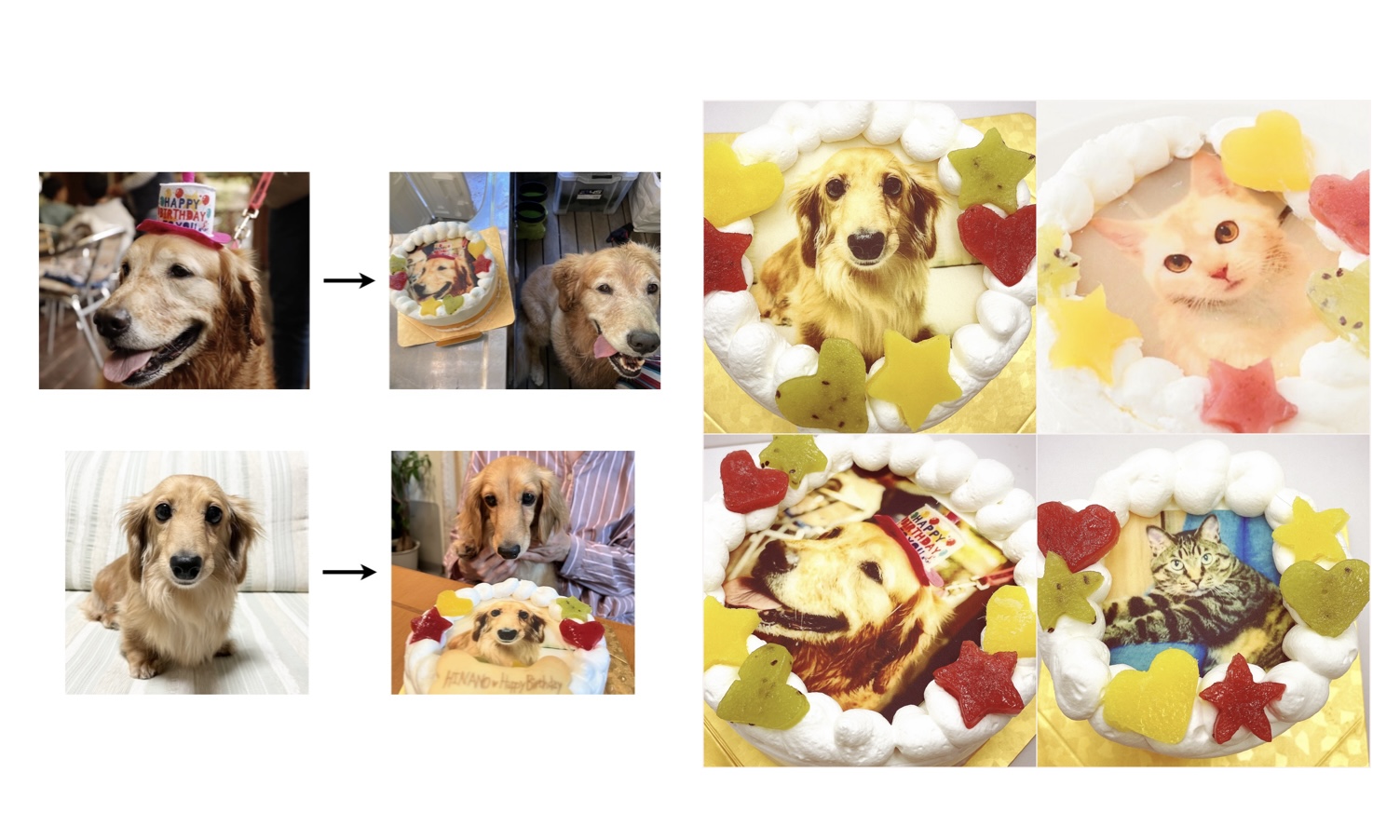 写真の送り方