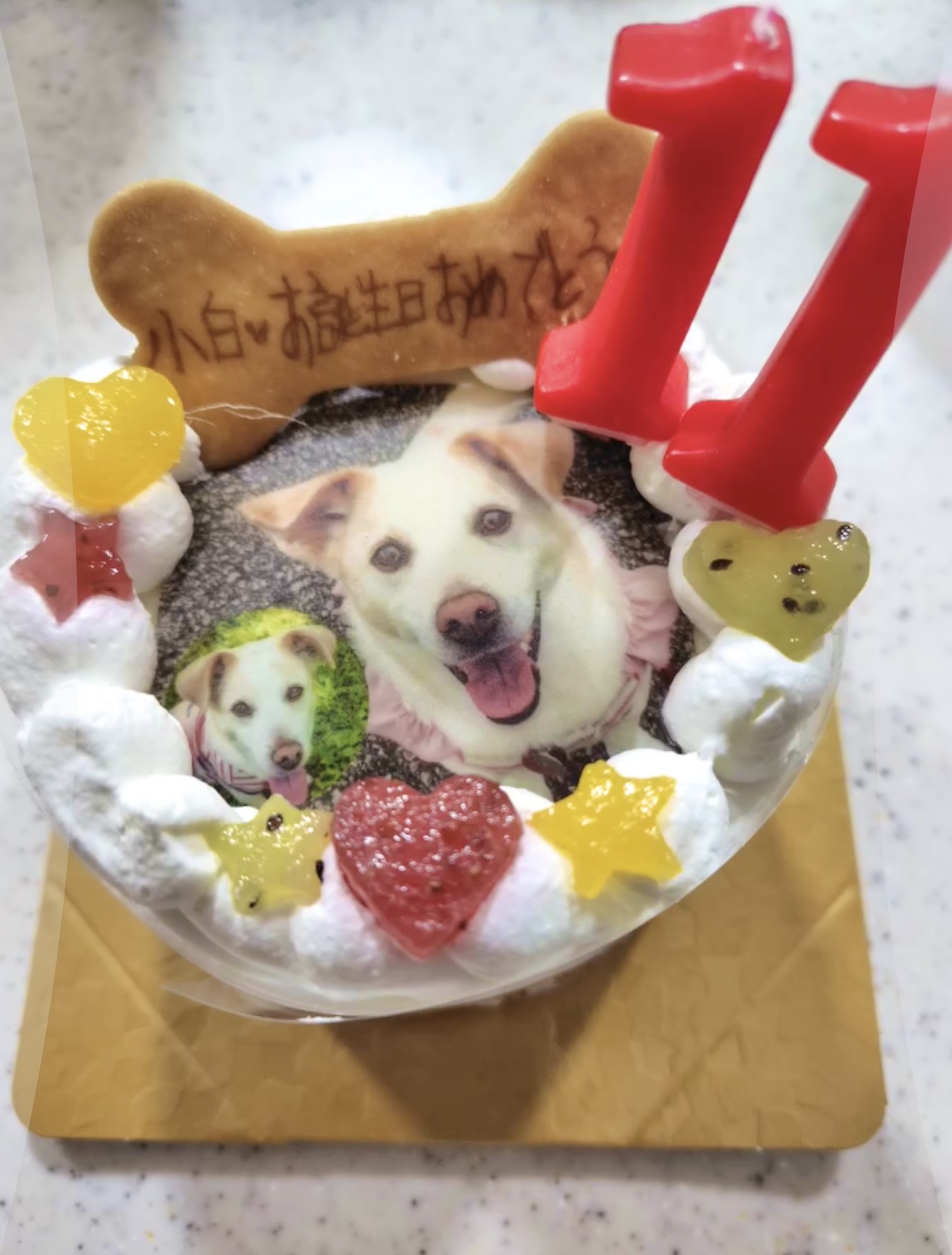 写真