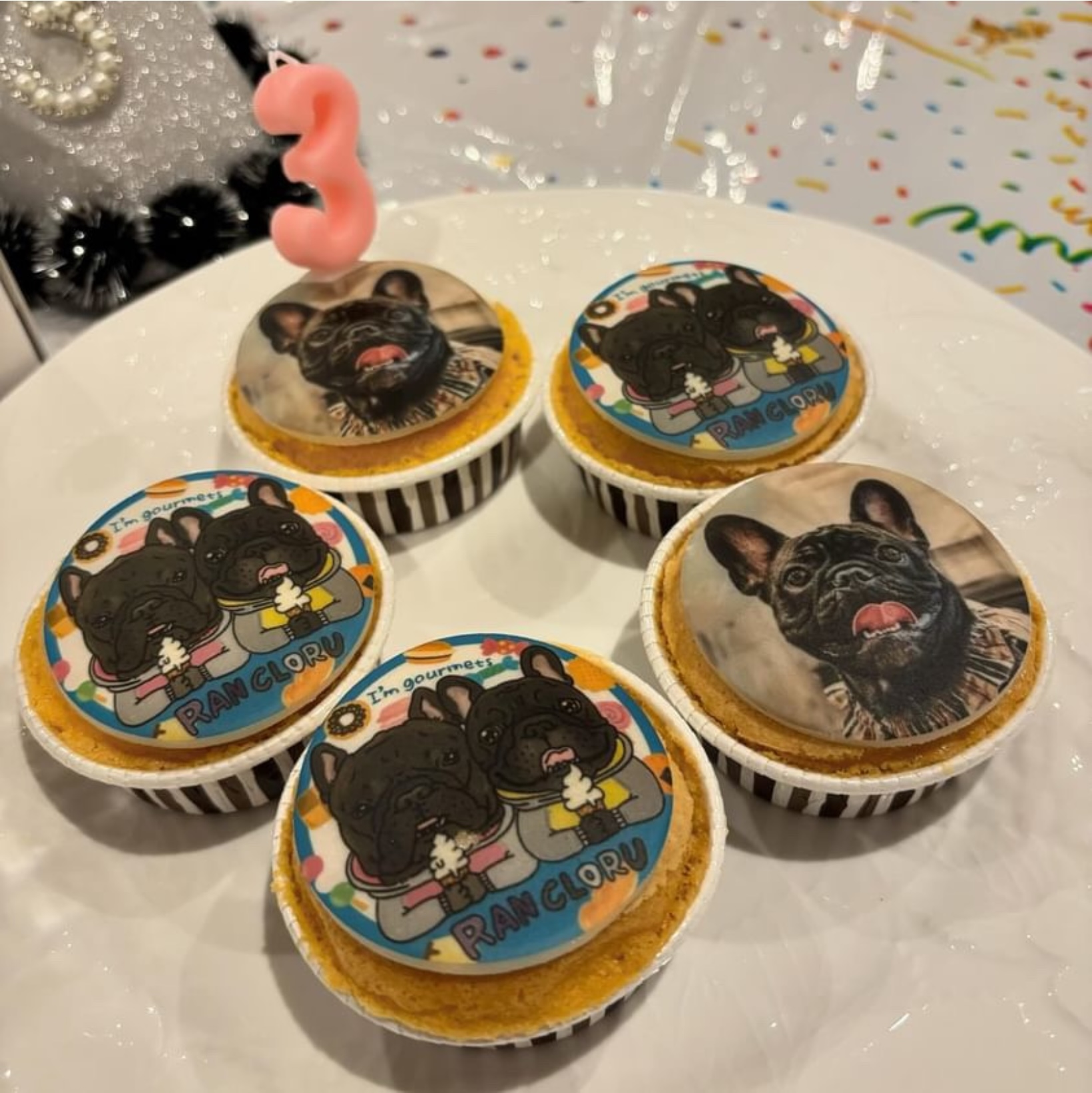 013わんこフォトカップケーキ フレンチブルドックのRANちゃん＆CLORU
