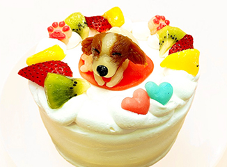 わんこ・にゃんこケーキ