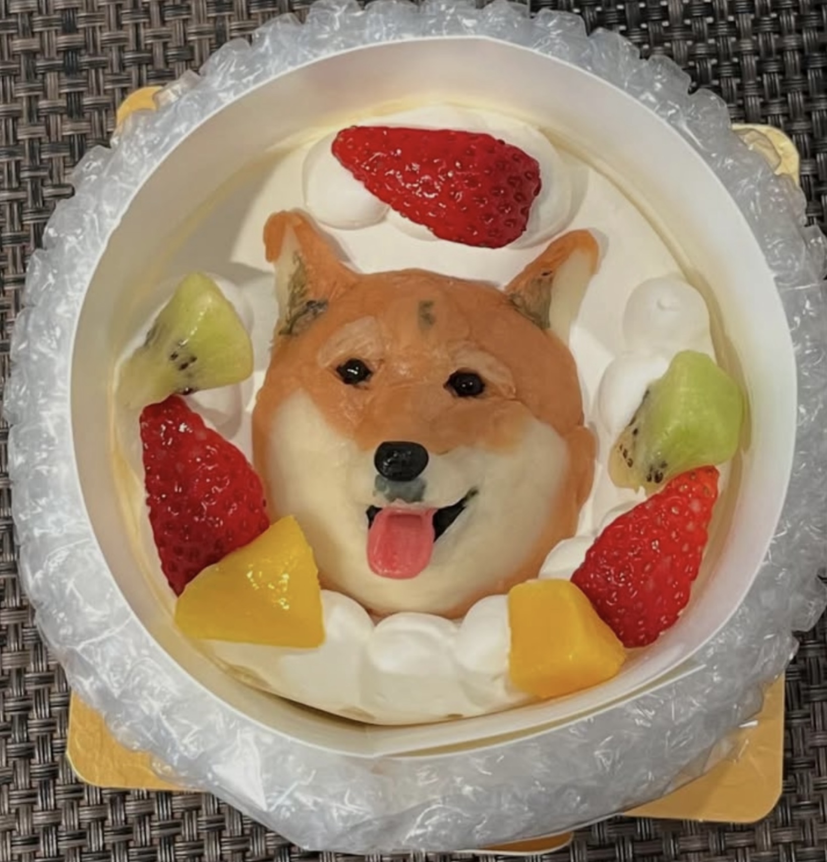 写真
