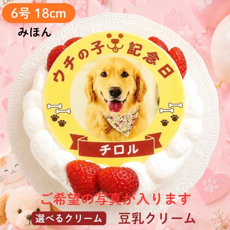 ペットケーキ｜飼い主さんも一緒に食べられるわんこ・にゃんこケーキ