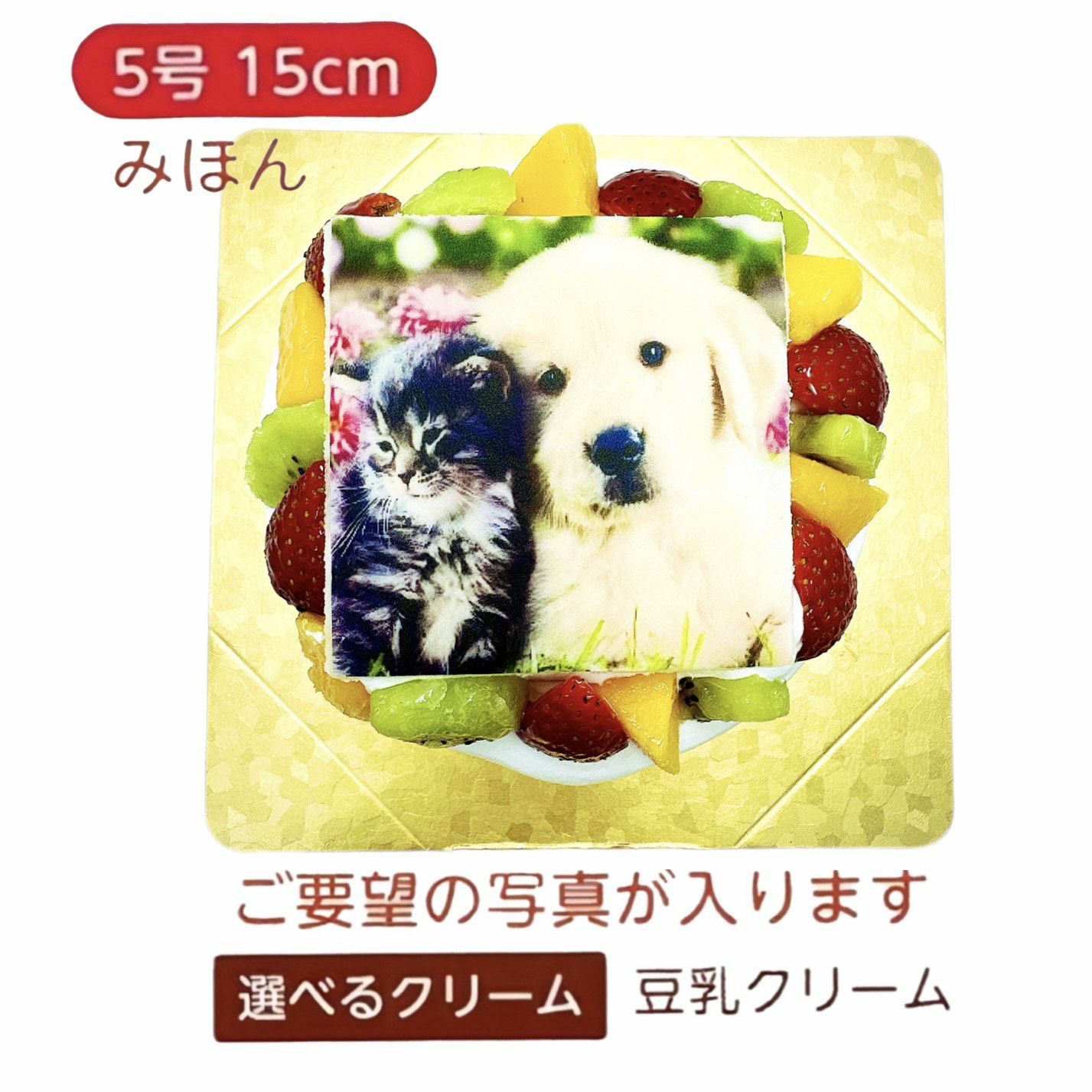 ペットケーキ デコ盛りわんこ＆にゃんこ写真ケーキ【4号 12cm】