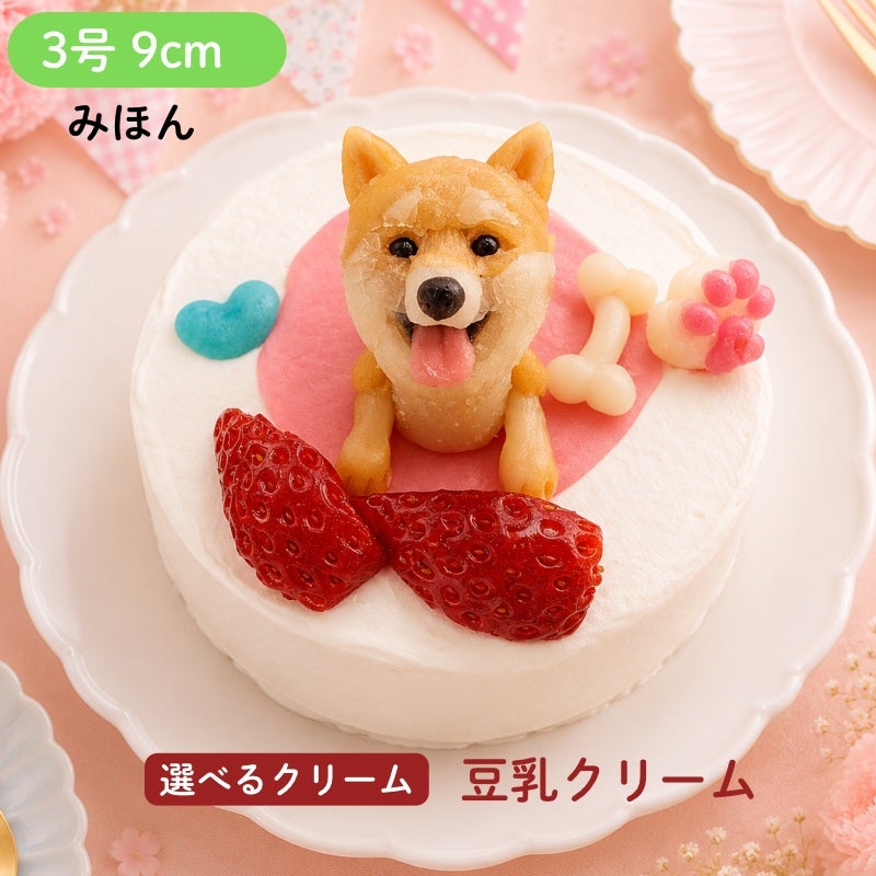 犬服 3S わんこの普段着 いちごケーキ ペットケーキ お写真から食べ