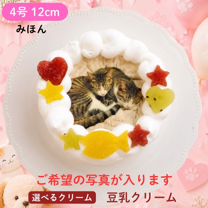 ペットケーキ にゃんこ写真ケーキ【4号 12cm】}