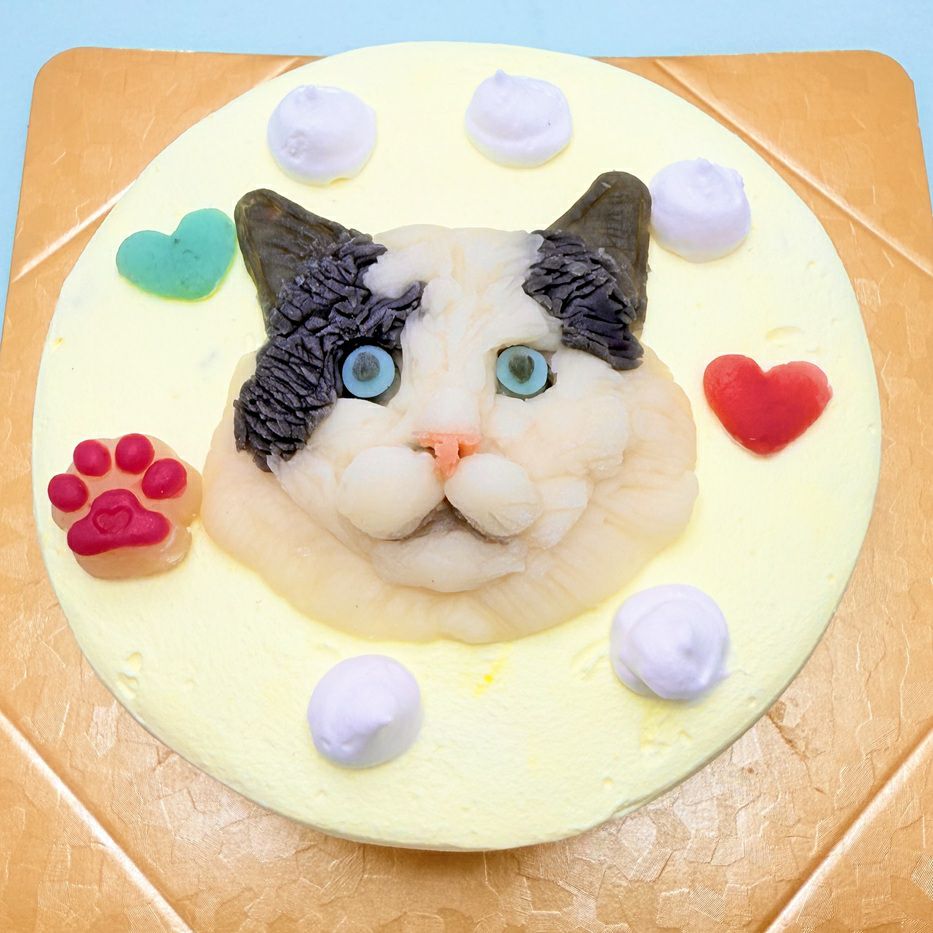 ペットケーキ 選べるクリーム写真がそのままお顔に!にゃんこ立体顔